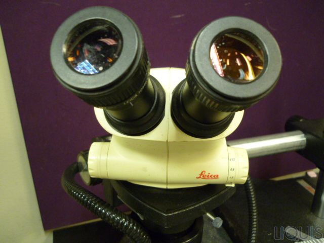 Leica S6E Stereozoom Microscope *notes*  