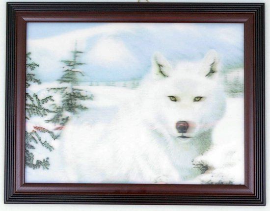 3D HOLOGRAM PICTURE POSTER WHITE WOLF ON SNOW 46cmX66cm  