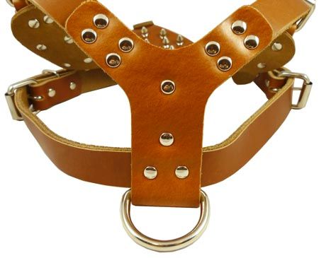 Doberman 26 34 size Spiked Leather Dog Harness 1 wide Pitbull 