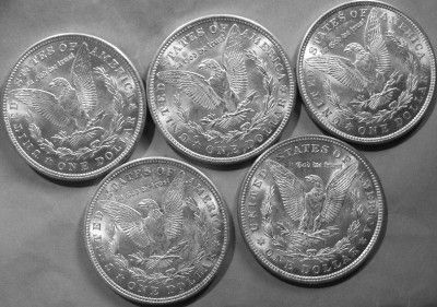   ROLL 1921 MORGAN SILVER DOLLARS CHAU MS CHBU LUSTEROUS LADIES  