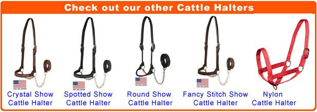 Nylon Cattle Halter Derby Originals Black Cow  