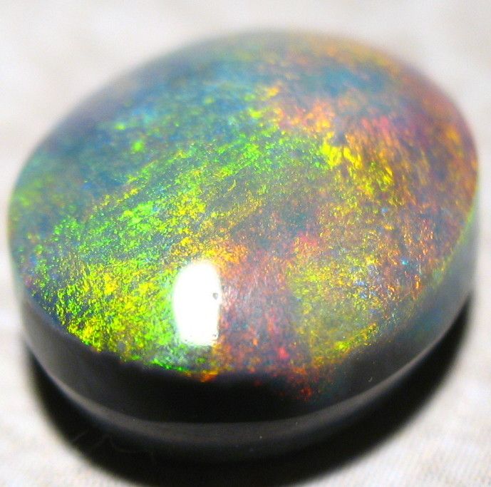 Evening Star   BLACK OPAL 6.6 CT 13.5x11mm  