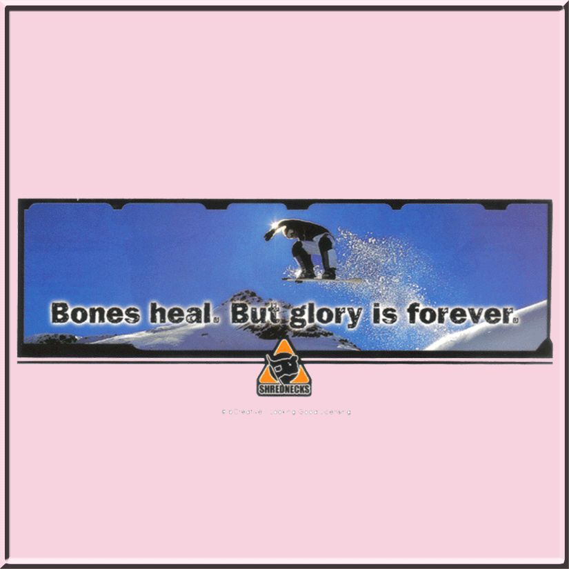   Heal Glory Is Forever Snowboard T Shirt S,M,L,XL,2X,3X,4X,5X  