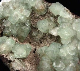 INCREDIBLE CLUSTER OF LIGHT GREEN APOPHYLLITE WITH STILBITE ON 