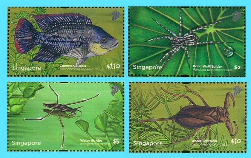 Singapore Stamp, 2011 Pond Life HV, Fish, Insect  