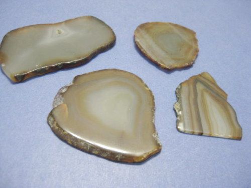 lot of 3 Sliced Round Agate Rocks Geo Stones  