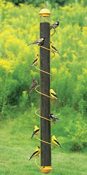 BIRD QUEST 36YELLOW SPIRAL NYJER THISTLE BIRD FEEDER  