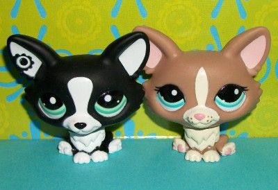 Littlest Pet Shop~CHIHUAHUA/CORGI PUPPY DOGS #2245 BLACK & #1864 TAN 