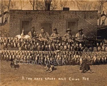 DUCK HUNTERS DOGS EWING NEBRASKA 1907 HUNTING PHOTO  